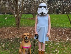 Masker Langka, Orang-orang Pakai Jas Hujan sampai Topeng