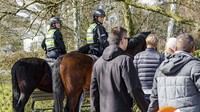 Polisi berkuda pun dikerahkan untuk meminta warga tidak berkumpul di taman.