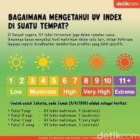 Mengenal UV Index, Penentu Waktu Berjemur Yang Paling Bagus - Foto 3