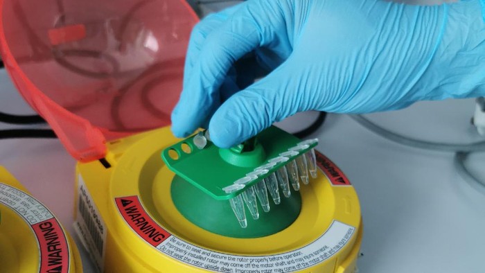 Test Kit Corona Nusantara