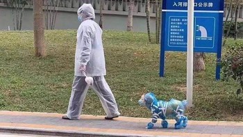 Tidak hanya majikan, peliharaan juga sampai diberi pelindung. Foto: Bored Panda