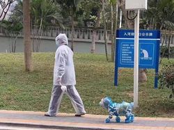 Masker Langka, Orang-orang Pakai Jas Hujan sampai Topeng