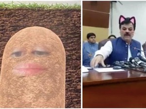 Kocak! Viral Manusia Kentang dan Kucing saat Rapat Online