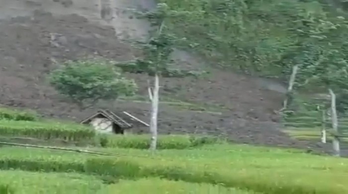 Tebing longsor timbun lahan persawahan warga di Cianjur