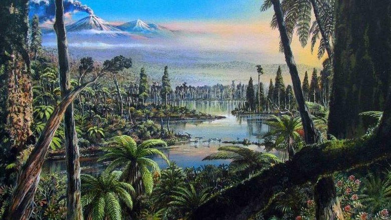 Antartika dulunya hutan Antartika dulunya hutan