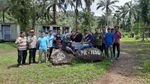 Jerat Pemburu Liar Bikin Kaki Harimau Corina Terancam Diamputasi