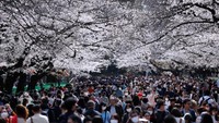 Keramaian pengunjung yang mengenakan masker saat melihat Sakura di Taman Ueno, Tokyo, Jepang pada tanggal 22 Maret 2020. (REUTERS / Issei Kato)
