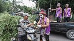 Peduli Corona Peternak Sapi Bagi-bagi Susu Gratis