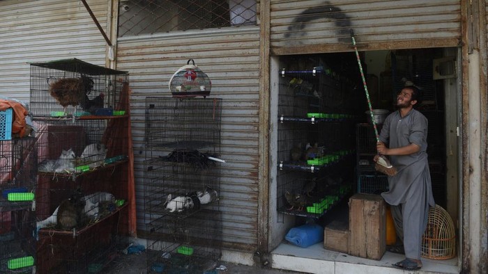 This photo taken on April 1, 2020 shows a vendor closing his shop after feeding the animals during a government-imposed nationwide lockdown as a preventive measure against the COVID-19 coronavirus, in Karachi. - Abandoned when Pakistans largest cities went into lockdown, hundreds of caged cats, dogs and rabbits have been found dead inside pet markets hurriedly shuttered as the coronavirus spread. Animals still alive in the corner of Karachis sprawling Empress Market where pets are sold were rescued only after activists appealed to the authorities for access. (Photo by Asif HASSAN / AFP) / TO GO WITH health-virus-Pakistan-animals-rights,FOCUS by Ashraf KHAN
