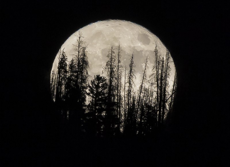 Supermoon