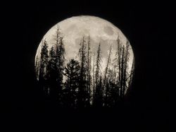 Penampakan Bulan Raksasa dari Berbagai Negara yang Memukau Mata