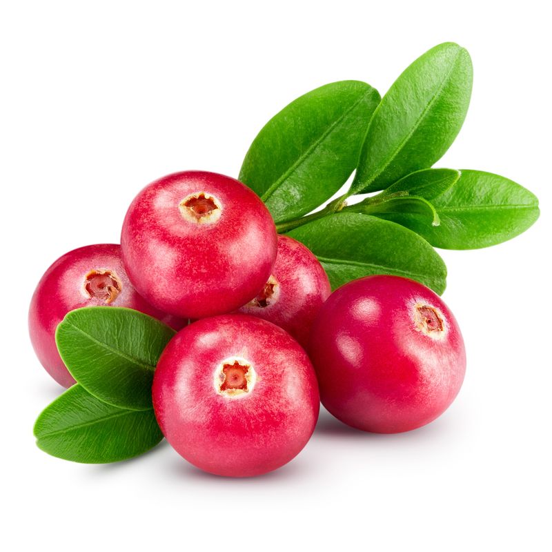 buah cranberry