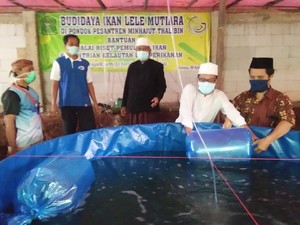 Bantu Tingkatkan Ekonomi, KKP Bagikan 6.000 Benih Lele ke Ponpes