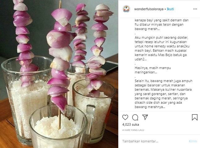 bawang merah desinfektan