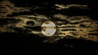 Pemandangan bulan indah terlihat semalam, tepat dini hari bulan terang tersebut dapat dinikmati juga di Indonesia. BMKG mengungkapkan Supermoon kali ini menjadi yang terbesar di tahun 2020. ANTARA FOTO/Rahmad.