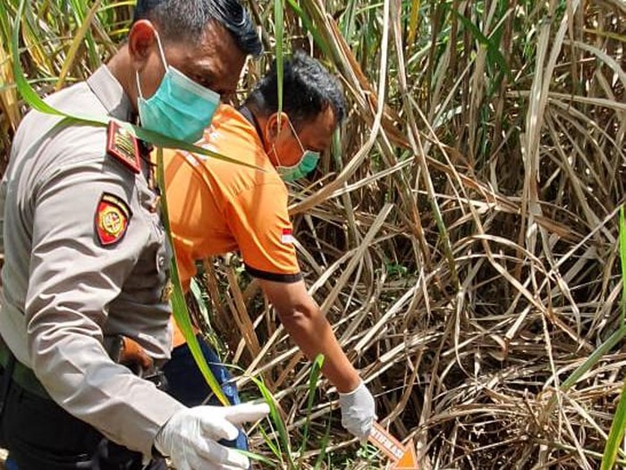 Warga Desa Catakgayam, Kecamatan Mojowarno menemukan kerangka manusia di kebun tebu. Polisi menduga, itu merupakan kerangka seorang pria.