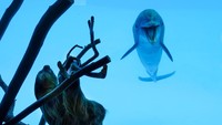 Foto: (Texas State Aquarium/Facebook)