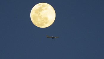 Sebuah pesawat terbang melewati Supermoon di langit Orlando, Florida Foto: AP Photo / John Raoux