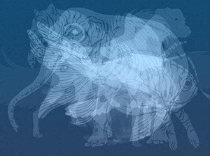 Tes Psikologi: Gambar Harimau atau Anjing yang Pertama Kali Kamu Lihat?