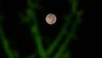 Melihat Lagi Pesona Fenomena Supermoon di Langit Indonesia