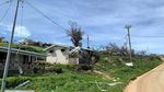 Potret Perkebunan di Vanuatu yang Rusak Diterjang Topan