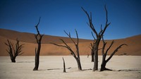 Tarif sewa mobil masih murah, jalanannya bagus, dan jarang terjadi kecelakaan lalu lintas menjadikan Namibia tempat terbaik di Afrika untuk melakukan safari sendiri (Foto: CNN)