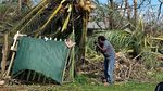 Potret Perkebunan di Vanuatu yang Rusak Diterjang Topan
