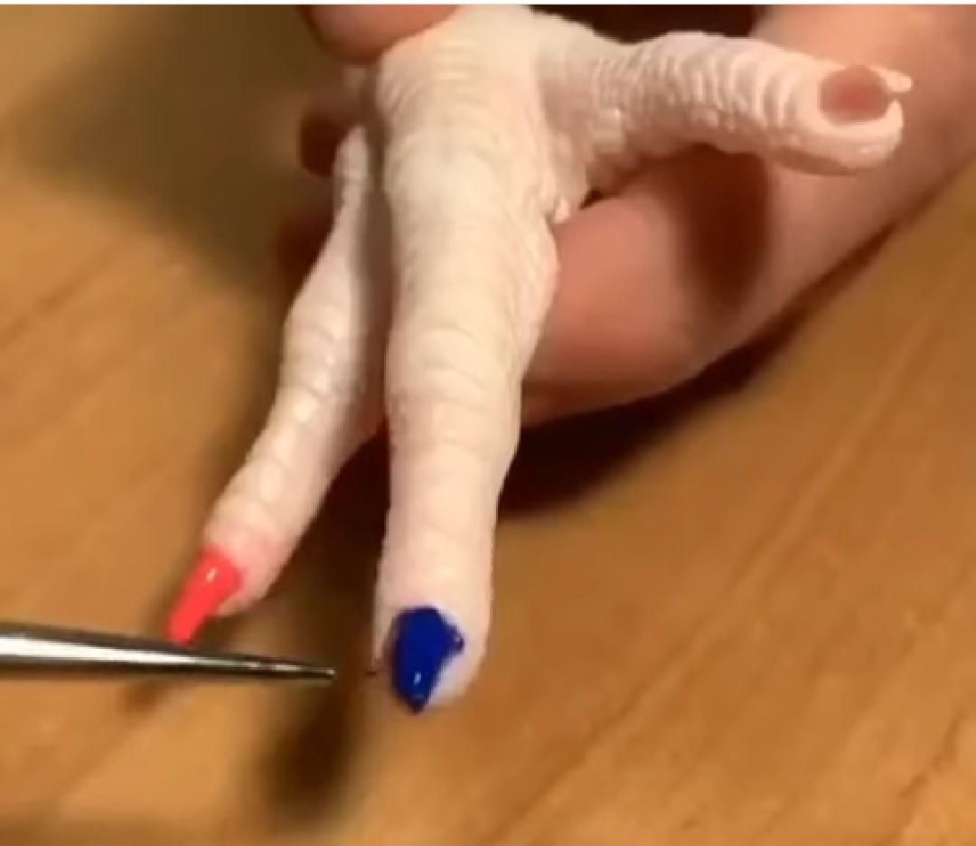 menicure ceker ayam