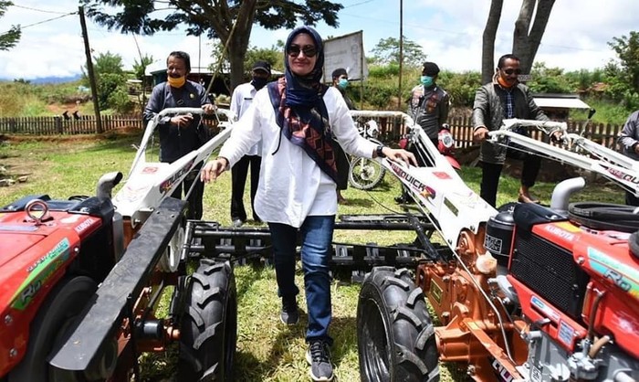Bupati Luwu Utara, Indah Putri Indriani
