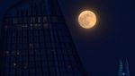 Betapa Indahnya Pink Supermoon 2020