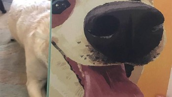 Kita pun bisa memotret dengan hewan peliharaan yang ada di rumah. Foto: sadanduseles