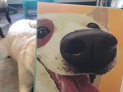 Aksi Kocak Pecinta Buku Atasi Bosan #DiRumahAja