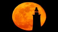 Pada tahun 2020, salah satu momen yang paling ditunggu adalah Pink Supermoon. (REUTERS/Darrin Zammit Lupi)