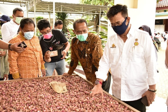 Kementan