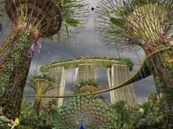 Gambaran Kota-kota di Dunia Jika Tidak Dihuni Manusia