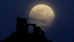 Betapa Indahnya Pink Supermoon 2020
