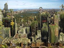 Gambaran Kota-kota di Dunia Jika Tidak Dihuni Manusia