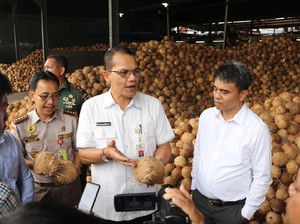 Di Tengah Corona, Ekspor Kelapa Parut Sumut ke China Capai 75 Ton