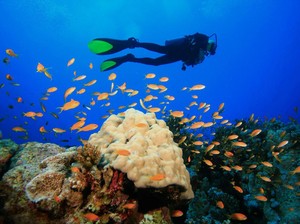 KKP Selesaikan 7 Kasus Kerusakan Laut dengan Klaim Rp 44 M Lebih