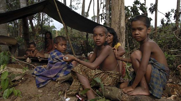 Karantina dalam Kearifan Lokal Orang Rimba Jambi Cegah Wabah