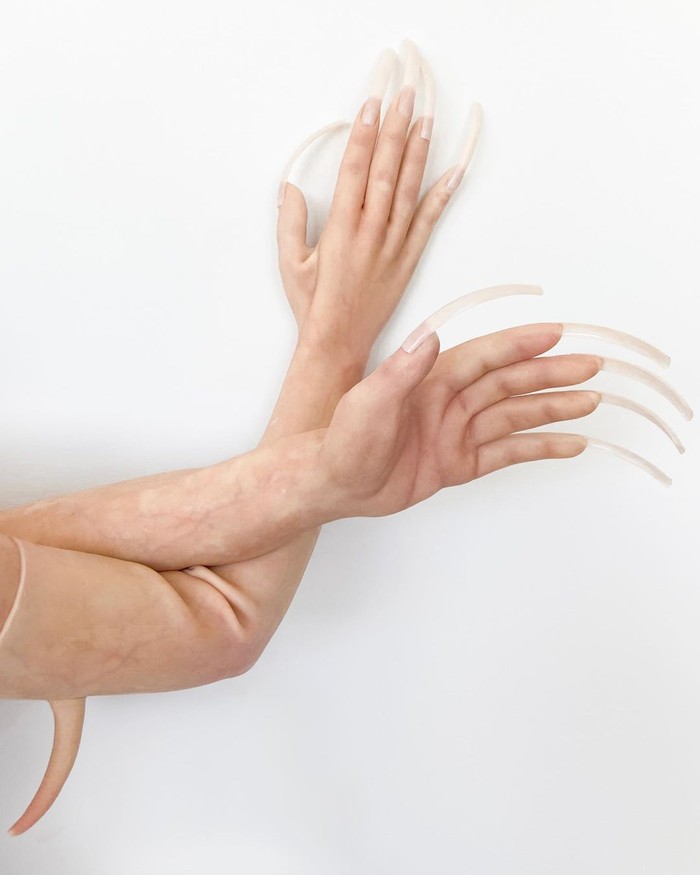 sarung tangan fecal matter