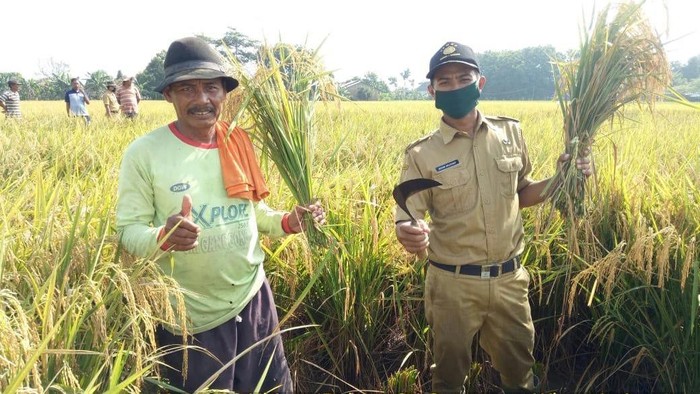 Kementan
