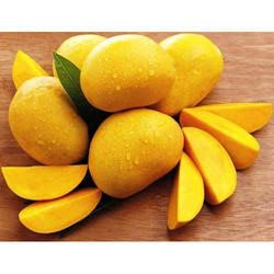 mangga india
