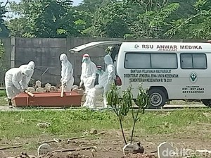 Sebaran Pasien Virus Corona di Indonesia, 607 Sembuh, 520 Meninggal