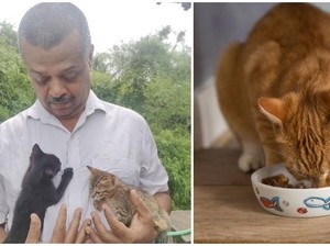 Ajukan Petisi, Pria Ini Dapat Akses Beli Biskuit Kucing Saat Lockdown