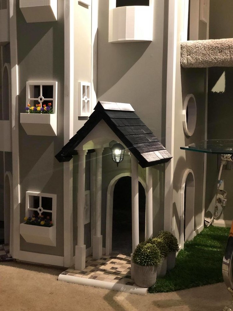 rumah kucing