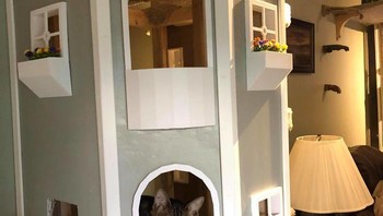 Seperti balkon yang dibuatnya, dikarenakan Savannah senang memandang ke atas di atap yang lain. Foto: via Bored Panda 