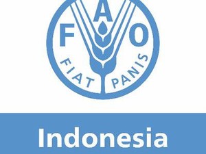 Organisasi Pangan PBB di Indonesia Buka Lowongan Kerja, Daftar Sebelum 14 Agustus!