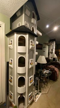 rumah kucing