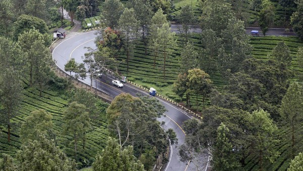 Pemerintah Ingin Mengalihkan RTH Jakarta ke Puncak, Setuju?